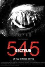 Poster for Secteur 545