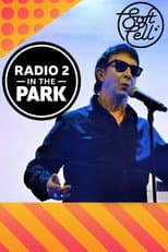 Poster for Soft Cell: Radio 2 in the Park