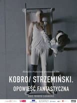 Poster for Kobro / Strzemiński. Opowieść fantastyczna