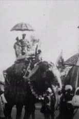 Poster for Procession of Elephants with Howdahs - India