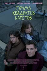 Poster for Miscalculation