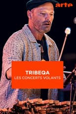 Poster for TribeQa - Les Concerts Volants