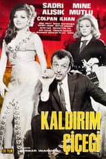 Poster for Kaldırım Çiçeği