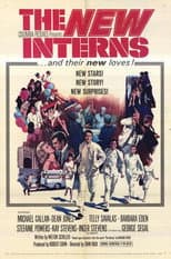 Poster for The New Interns