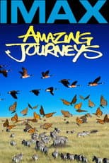 Poster for Amazing Journeys