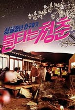 Poster for 불타는 청춘
