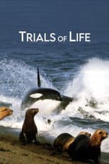 Poster for Trials of Life