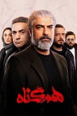 Poster for The Accomplice