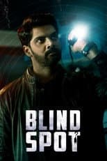 Poster for Blind Spot