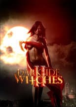 Poster for Darkside Witches II
