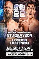 Poster for Mystery Wrestling #22