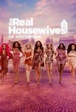 Poster for The Real Housewives of Amsterdam