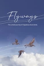Poster for Flyways: The Untold Journey of Migratory Shorebirds