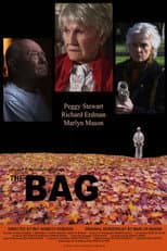 Poster for The Bag