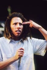 Poster for Rage Against The Machine - Live at Pinkpop Festival 1994
