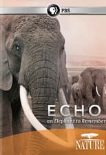 Poster for Echo: An Elephant to Remember