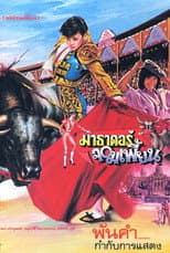 Poster for The Extraordinary Matador