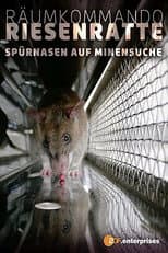 Poster for Räumkommando Riesenratte - Spürnasen auf Minensuche