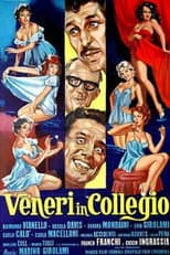 Poster for Veneri in collegio
