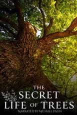 Poster for The Secret Life of Trees