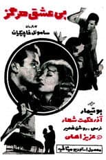 Poster for Never Without Love