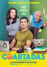 Poster for Coartadas