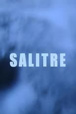 Poster for Salitre