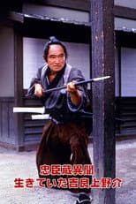 Poster for Ronin on a Mission