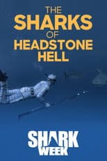 Poster for The Sharks Of Headstone Hell