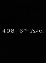 Poster for 498 Third Avenue