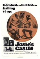 Poster for Josie's Castle