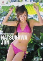 Poster for 夏川純 Perfect collection