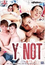 Poster for Y Not