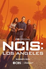 Poster for Season 14