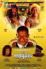 Poster for Un président au maquis
