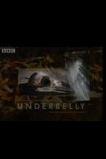 Poster for Underbelly