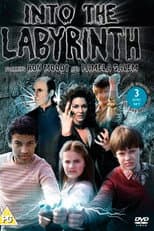 Poster for Into the Labyrinth