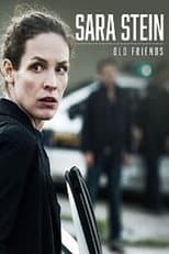 Poster for Sara Stein - Old Friends