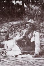 Poster for The Message of the Palms
