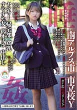 Poster for Real Stalker Peeping – Minami Alps City, Municipal School Y, Delinquent, Returning Home Club, Small Breasts, 3 Daughters Sleeping Soundly – Nagisa Mitsuki