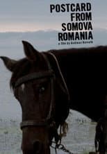 Poster for Postcard from Somova, Romania