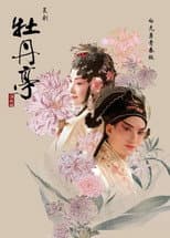 Poster for 青春版牡丹亭