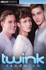 Poster for Twink Sandwich