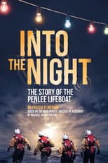 Poster for Into the Night