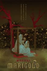 Poster for Musical - MARIGOLD-