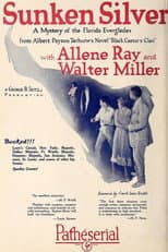 Poster for Sunken Silver