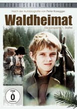 Poster for Waldheimat