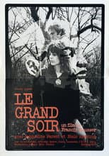 Poster for The Big Night