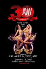 Poster for 30th AVN Awards