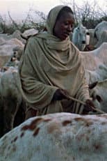 Poster for Boran Herdsmen